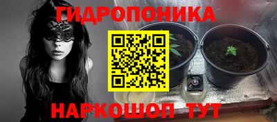 скорость Ливны