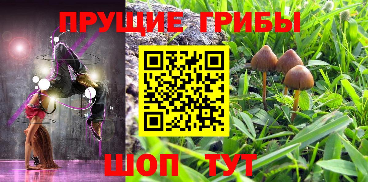 Псилоцибиновые грибы прущие грибы  Вход с VPN  Хасавюрт 