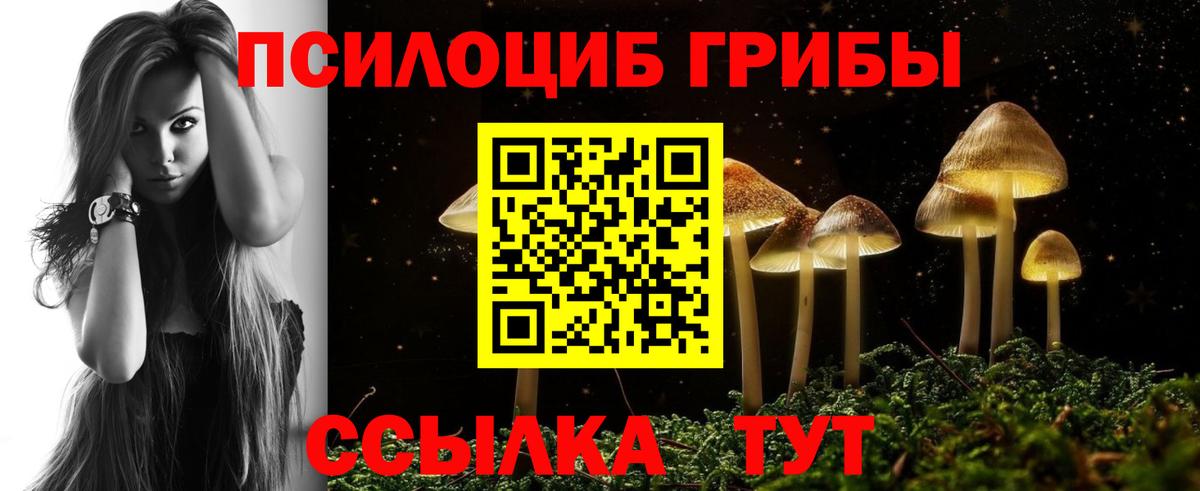 Псилоцибиновые грибы GOLDEN TEACHER Хасавюрт