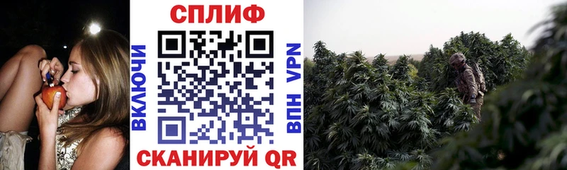 Канабис ГИДРОПОН Хасавюрт